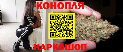 гидра Апрелевка