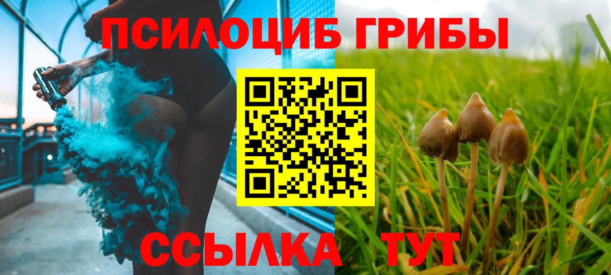 где купить наркоту  Галлюциногенные грибы ЛСД  Вход с VPN  Вязники 